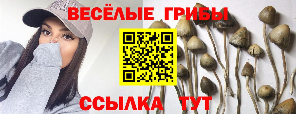 ЭКСТАЗИ  Cocaine  Воркута  ГАШИШ  Мефедрон кристаллы  АМФ   Вход с VPN 
